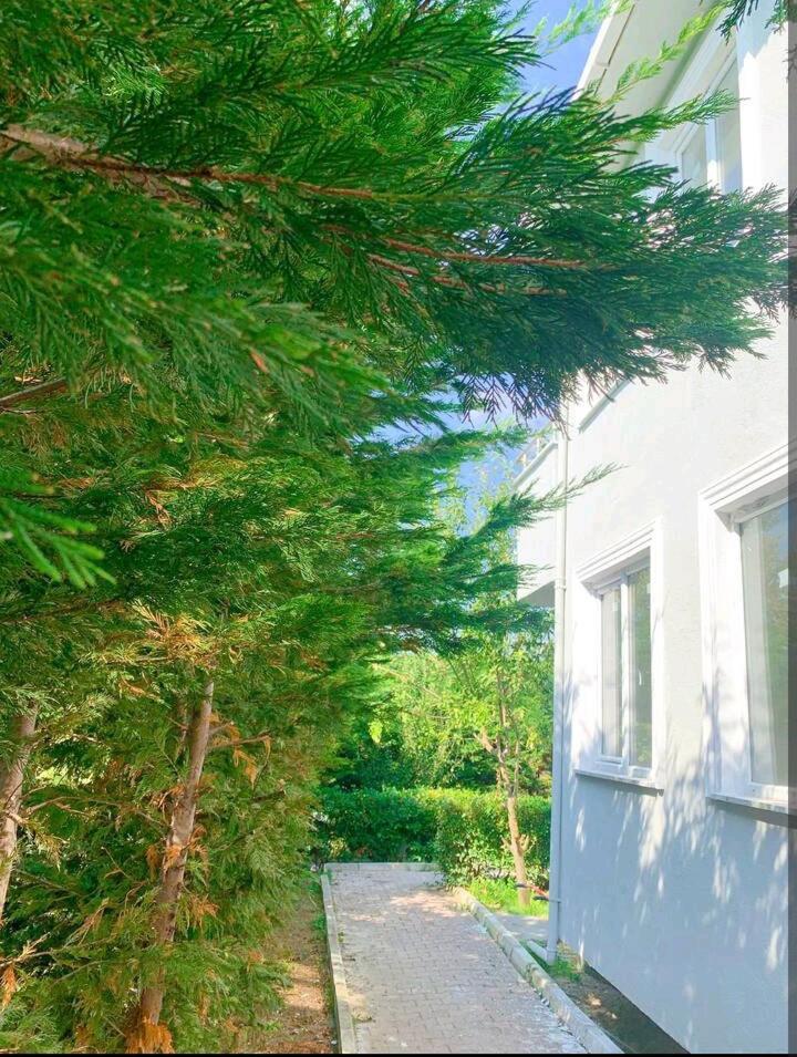 Ahmet Teacher Hotel, 5 Minutes From The Airport Arnavutkoy Buitenkant foto